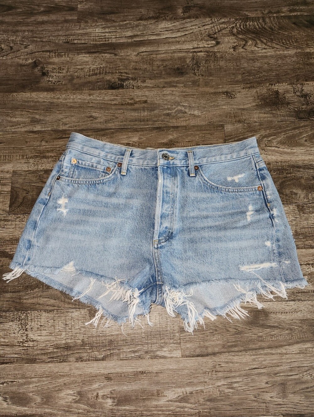 Agolde Parker Denim Fray Shorts